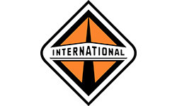 International Logo